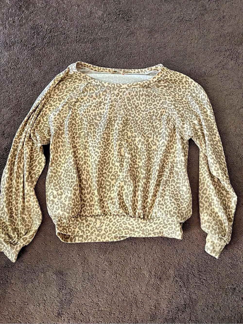 Chico's Leopard Print Long Sleeve Top
